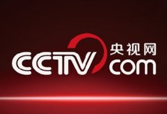 CCTV央視網：互聯網化